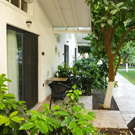 Hotell Perast Garden