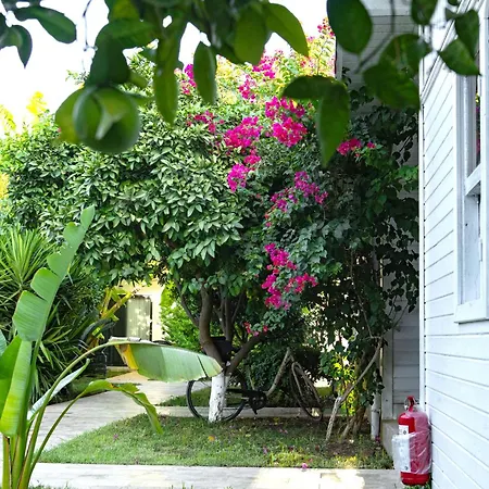Perast Garden