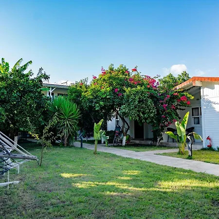 Hotell Perast Garden