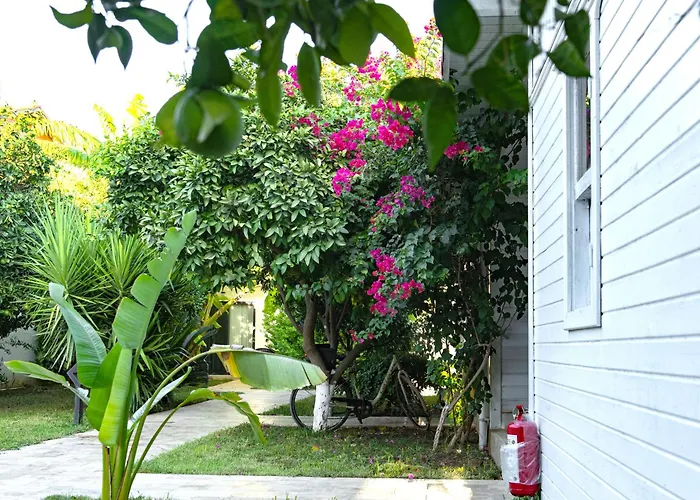Perast Garden