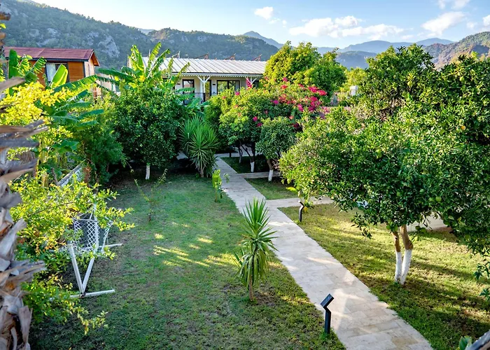 Perast Garden Отель
