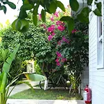Perast Garden