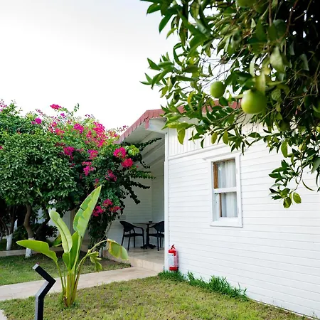 Perast Garden * Çıralı